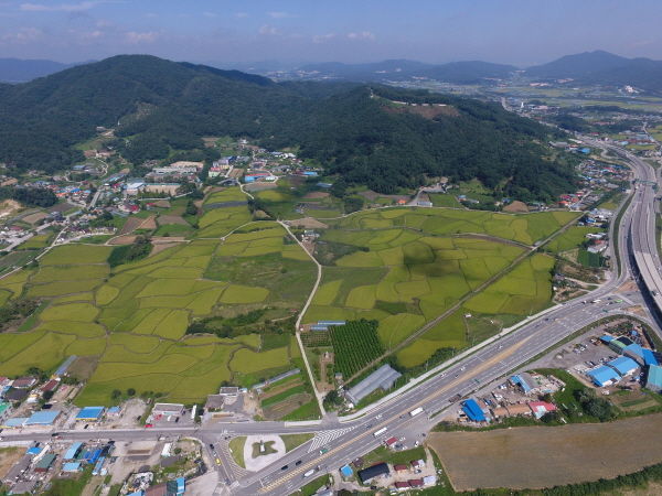 봉업사지 전경