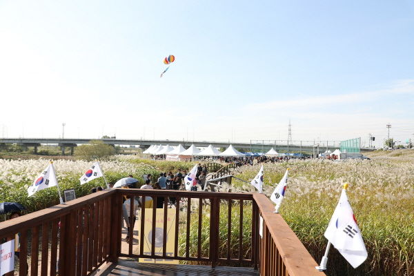 원평시민유원지 사업부지 인근 원평나루 억새축제장
