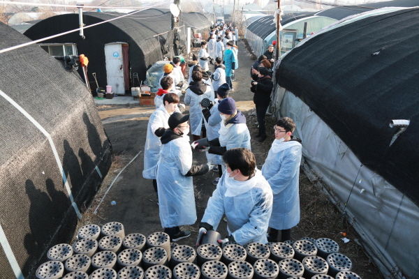 과천시 과천동주민센터는 서초동 사랑의교회로부터 전달받은 연탄 1만 5천장을 대규모 비닐하우스 주거지역인 꿀벌마을 취약계층 가구 60곳에 전달했다.