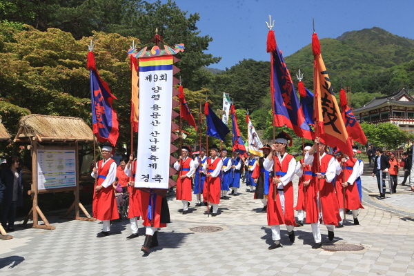 제9회 양평 용문산 산나물축제