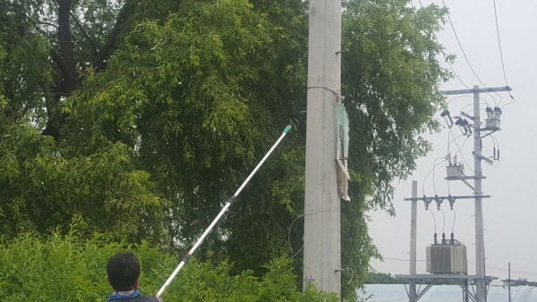 성남시 중원구는 중원구 관내 주요도로와 사거리를 중심으로 불법현수막 잔여물 제거해 깨끗한 도시미관 조성에 앞장선다.