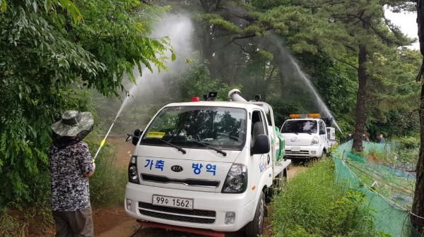 돌발해충 방제작업