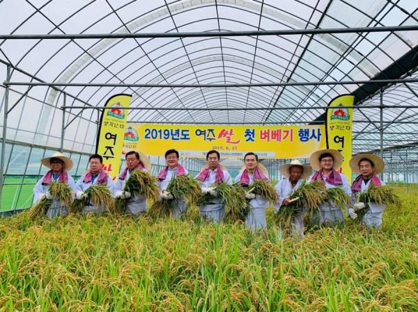 세종대왕이 드신‘대왕님표 여주쌀 첫 벼베기’행사 열어