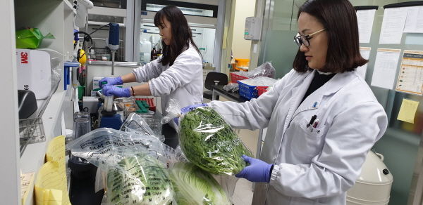 용인시 농업기술센터 잔류농약 분석실에서 잔류농약 검사를 하고 있다.