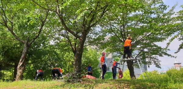 안산시는 아름답고 쾌적한 공원가꾸기 사업 추진의 일환으로 지역 단체와 회사 등 다양한 계층이 참여한 시민정원사가 지역 공원 가꾸기 활동을 적극적으로 전개하고 있다.
