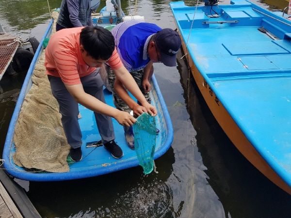 양평군청 축산과에서는 군내 내수면 수산자원을 조성하고 어업인 소득증대를 도모하고자 지난 21일 참게 생산업체와 계약을 맺고 치어 87천마리를 관내 남·북한강에 방류했다.