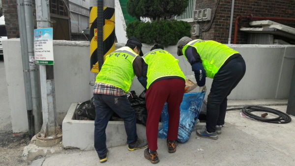 2019년 공공근로사업 현장 모습