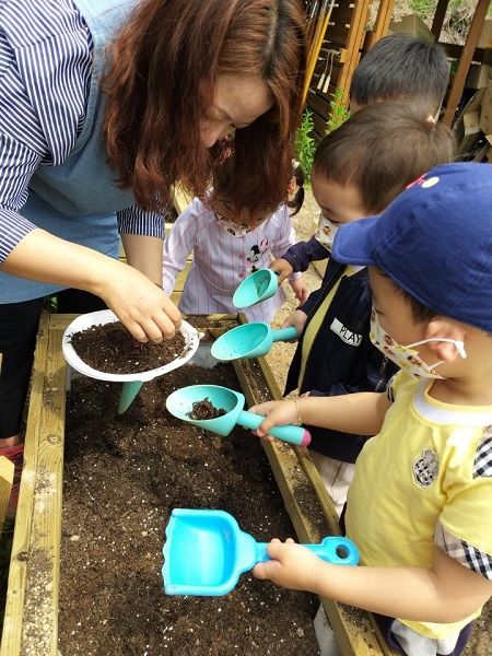 광교 꼬마농부 교육텃밭 꿈나무