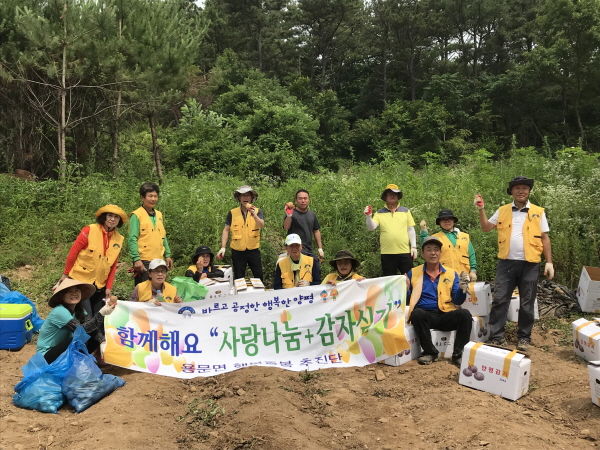 용문면 행복돌봄추진단 사랑나눔 감자로 이웃사랑 실천