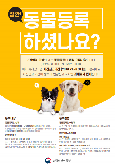 안성시, 동물등록 자진신고기간 운영