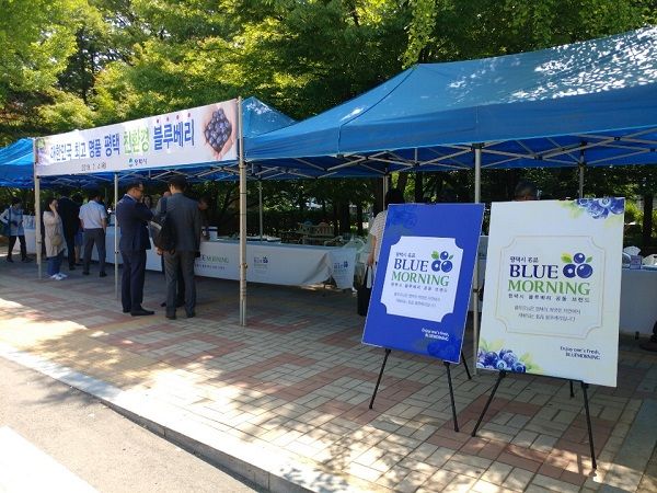 평택블루베리‘블루모닝’판매행사