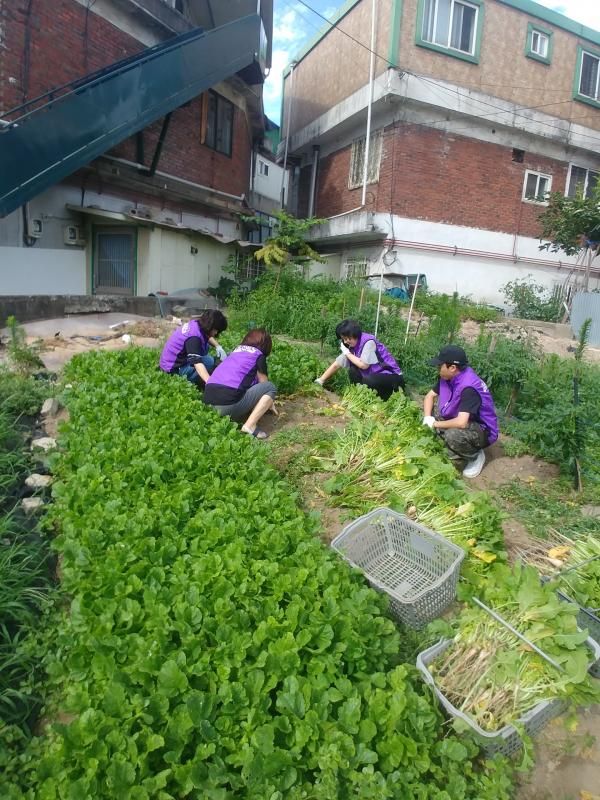하남 신장1동 지역사회보장협의체 저소득 취약계층 “제철 열무김치” 지원