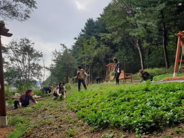 남양주시 진접읍 주민자치위원회, 진접 숲 어울림 월례회의 개최