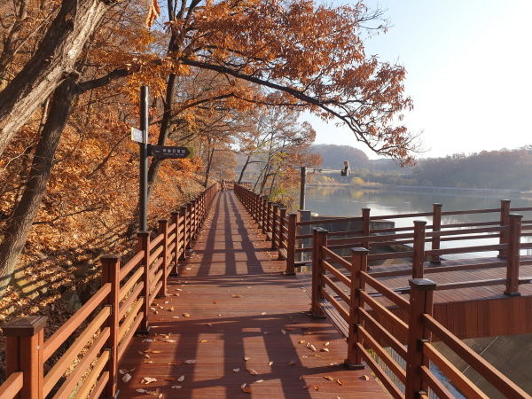 광교호수공원 신대호수 수변 산책로 완전하게 연결