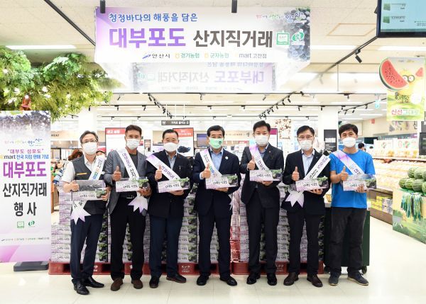 윤화섭 시장 “맛있는 대부포도 많이 드세요”