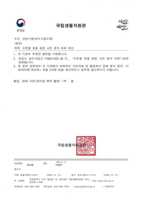 안성시, 내리 수돗물 신고 ‘깔따구 유충’ 아닌 걸로 최종 판명