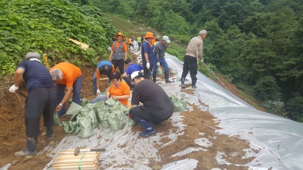 김경호 도의원, 가평군 특별재난지역 지정 및 국비 지원 필요성 강조
