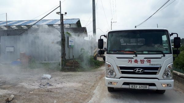 동두천시, 집중호우 이후 아프리카돼지열병(ASF) 차단방역 실시