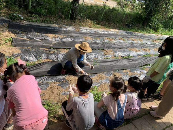 평택시 32개 학교, 도시농업 교육 프로그램 참여