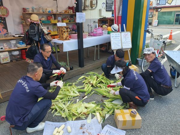 청운면 경기행복마을관리소, 직접 수확한 옥수수 나누며 이웃사랑 실천
