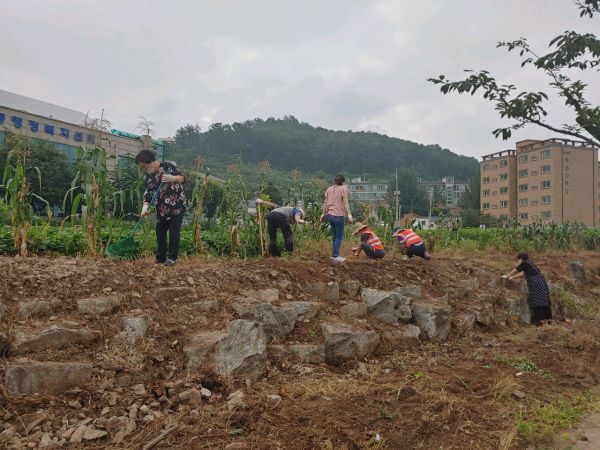 보산동 주민자치위원회, ‘화목한 보산스트리트사업’ 스타트