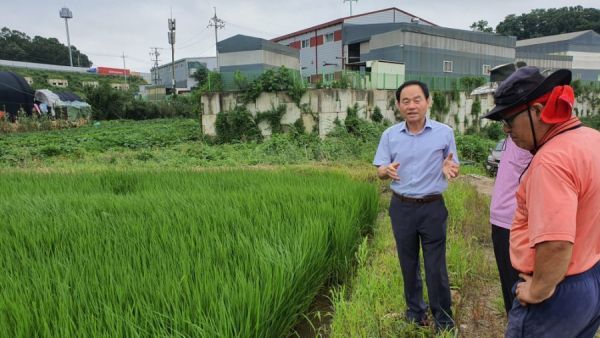 김포시 농업기술센터, 벼 잎집무늬마름병 등 방제 강조