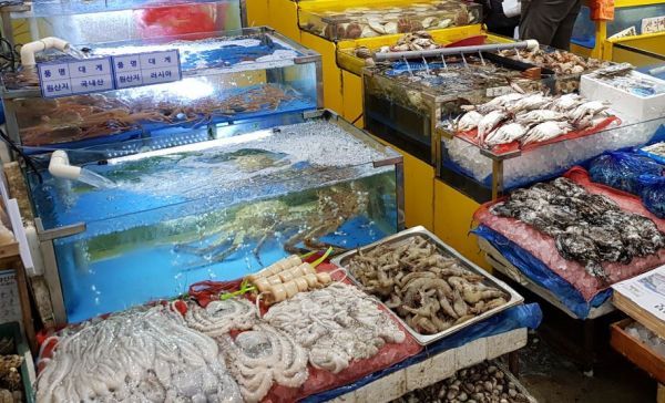 “수원시농수산물도매시장 수산물, 안심하고 드세요”
