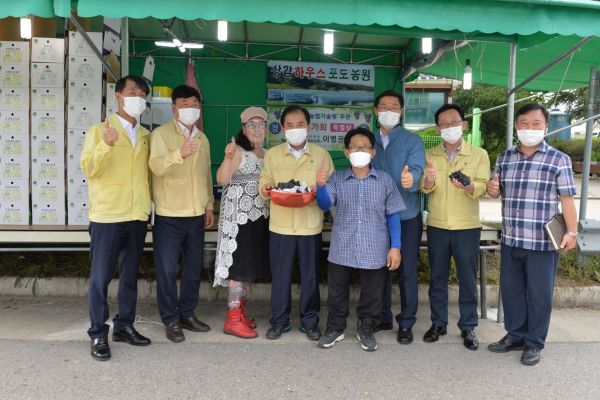향긋하고 달콤한‘포천포도’ 맛보세요