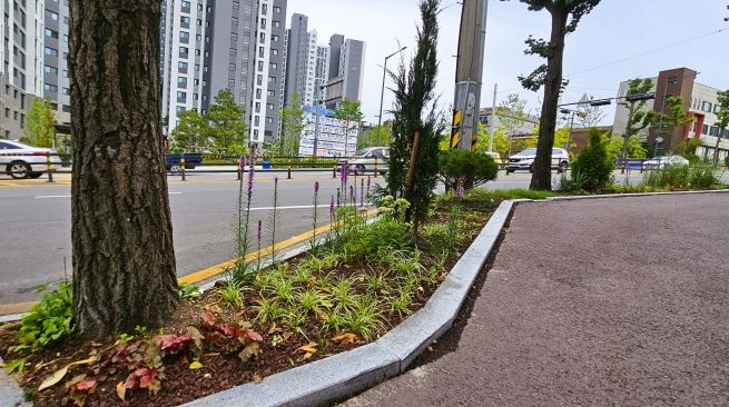 거리 걸으며 즐기는 미니 정원… 광명시, 띠녹지 조성