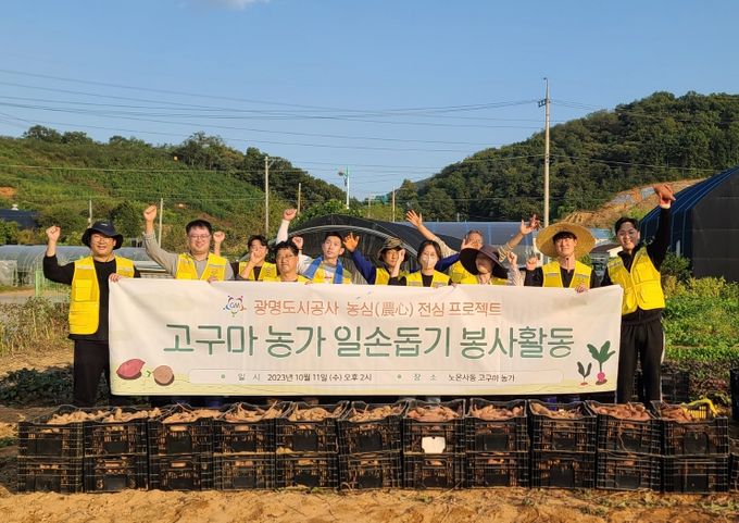 광명도시공사, 고구마 농가 일손돕기 봉사활동 나서
