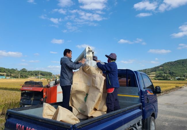 부안 변산면, 가을철 벼 베기 영농현장 방문 애로사항 청취