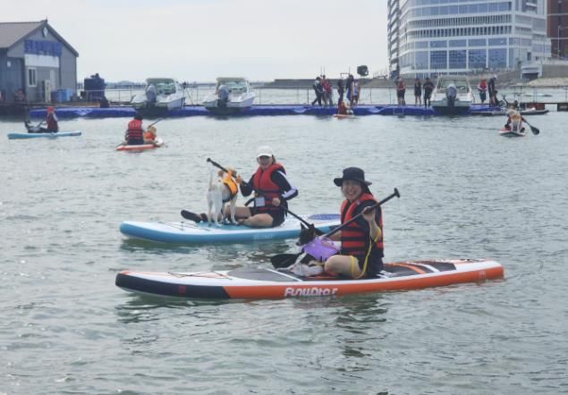 시흥시 거북섬 반려동물 해양 레저스포츠, '펫 패들링' 시범 운영 '호응'