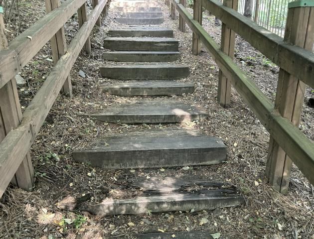 숙지공원 내 정비 대상인 산책로의 모습