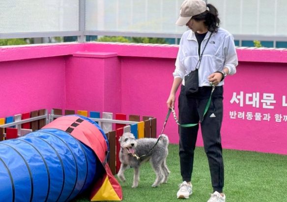 서대문구가 2025년 동물등록 자진신고 및 집중단속 기간을 운영한다. 사진은 반려동물 종합문화공간인 ‘서대문 내품애(愛)센터’ 옥상 놀이터 모습