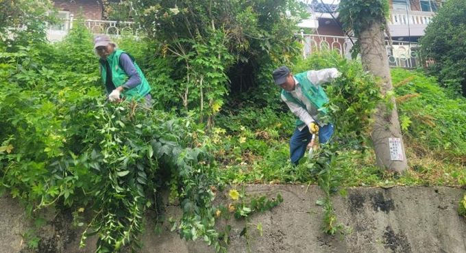 영도구 새마을지도자청학1동협의회, 우기 대비 도시환경정비 실시