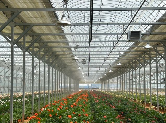 함평군, 온도 저감 기술로 여름철 화훼 폭염 피해 막는다