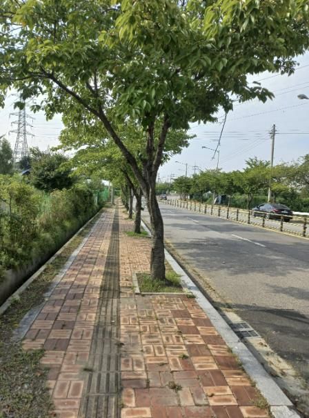 수원시 권선구, 쾌적한 도시환경 조성을 위해 제초작업 실시