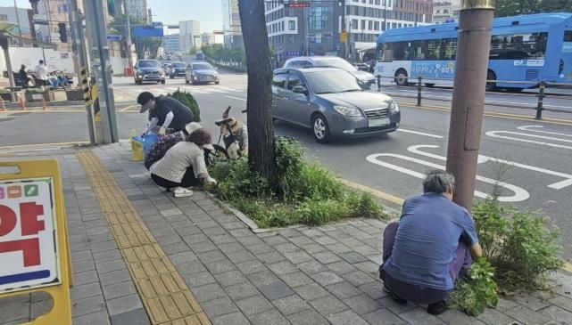 수원시 팔달구 고등동 통장협의회, 여름철 가로변 일제 환경정비
