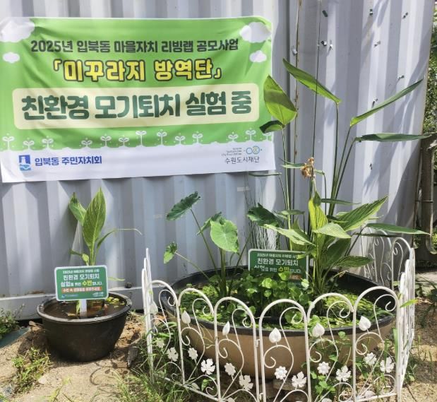 수원시 권선구 입북동 주민자치회, 어린이 대상 ‘미꾸라지 먹이주기 체험’ 참가자 모집