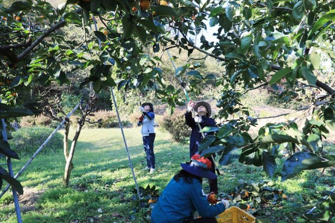 함양군 2025 하반기 농촌일손돕기