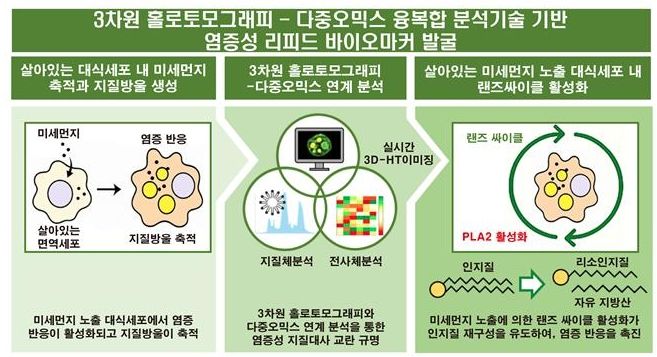 그림 연구관련 이미지