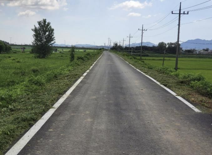 국가하천 제방 예초작업 완료 모습