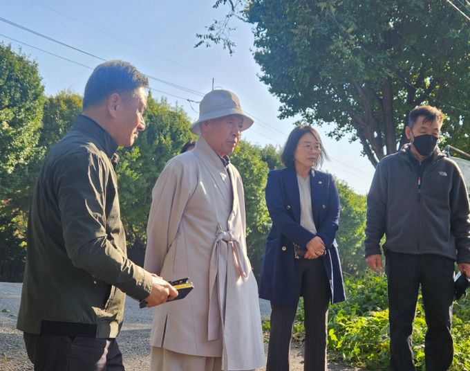 가좌동 빌라 위협하는 대형 나무 현장 점검