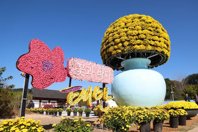 11월 3일 태안 국화축제 모습.