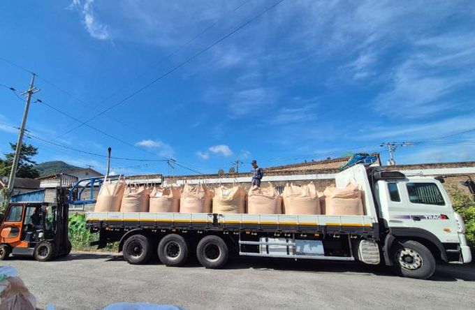 광양시, 2025년산 공공비축미곡 건조벼 매입 본격 추진 - 농식품유통과(상차된 미곡)