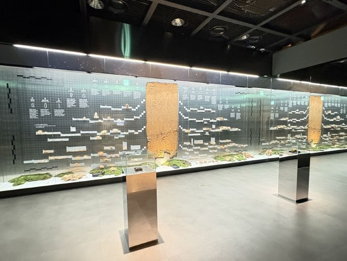 대전선사박물관 특별전 ‘뗀석기 in 용호동’ 개최