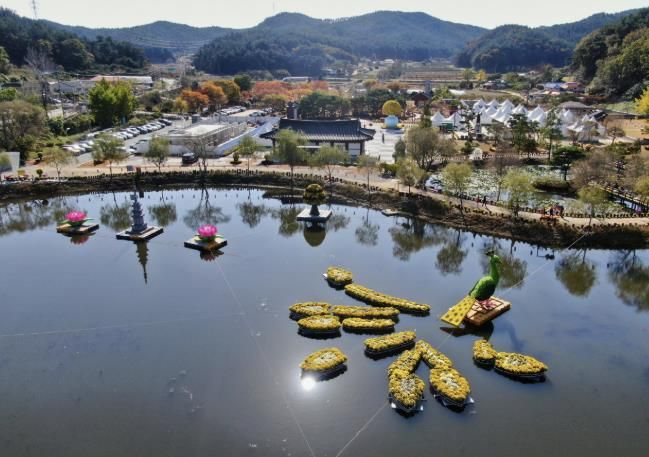 ‘2025 태안 국화축제’ 모습.