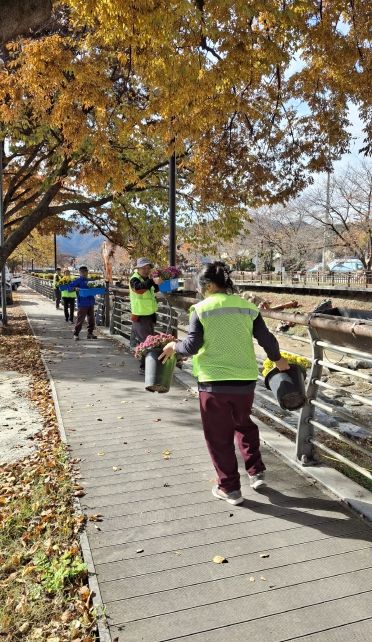 금산군 금산천·금천대교 꽃길화분 철거 모습