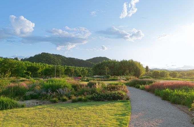 울산시‘자연주의정원’ 2025 우수디자인(GD) 상품선정‘은상’ 수상