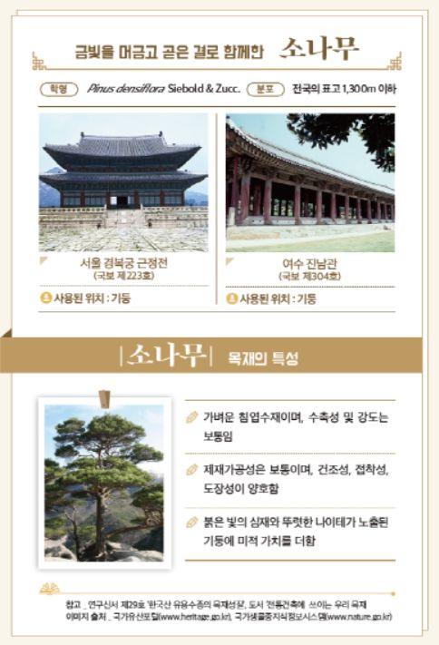 간행물 '이木저木 목재문화유산' 내지 목재문화유산 속 소나무